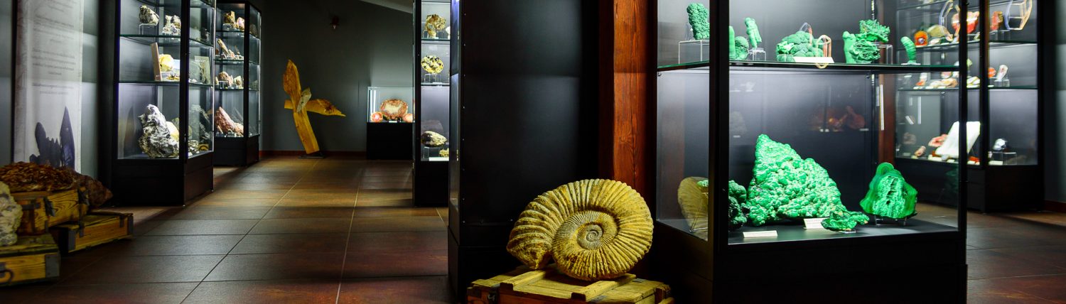 Muzeum Ziemi – Juna